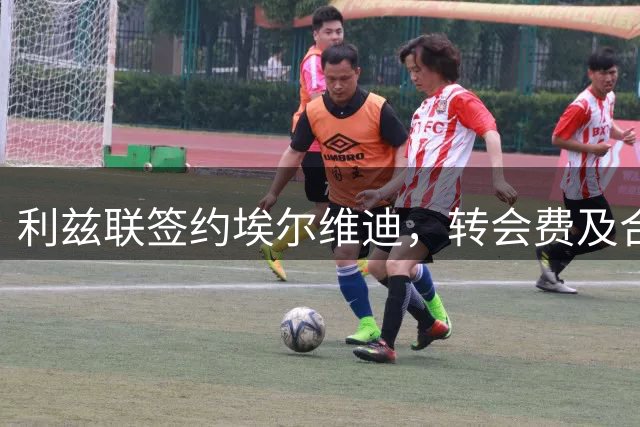 利兹联签约埃尔维迪，转会费及合同细节曝光