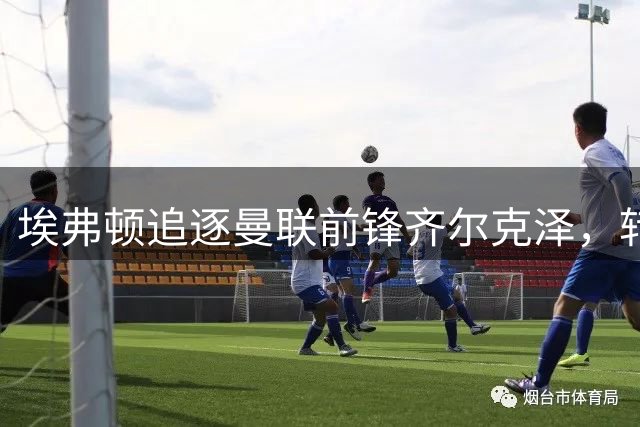 埃弗顿追逐曼联前锋齐尔克泽，转会等待红魔点头