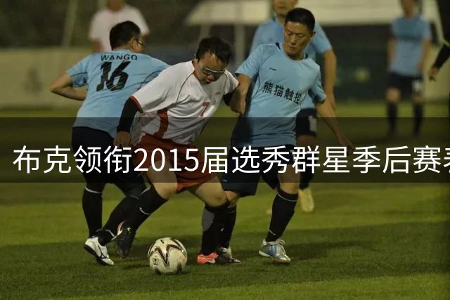布克领衔2015届选秀群星季后赛表现