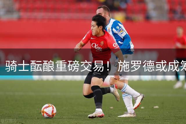 骑士酝酿重磅交易！施罗德或成筹码换黄蜂3D悍将奥尼尔